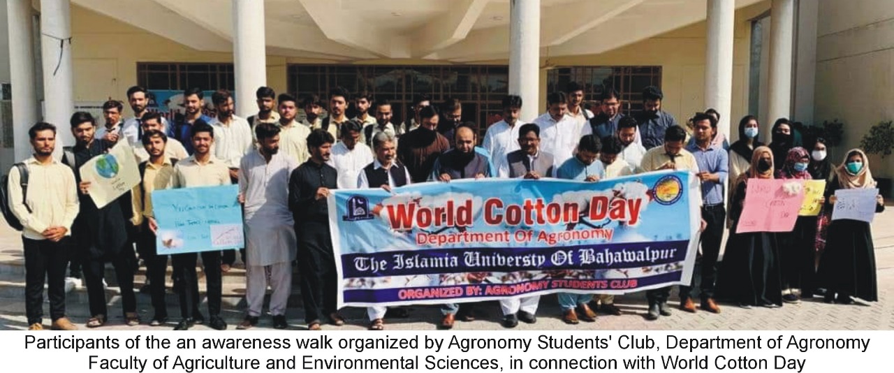 cotton day eng